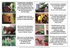 Abschreibtext-Bildergeschichte-E-4.pdf